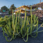 _W5A4761-HDR-Editar